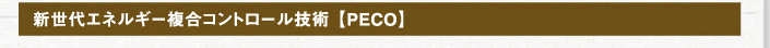 新世代エネルギー複合コントロール技術【PECO】